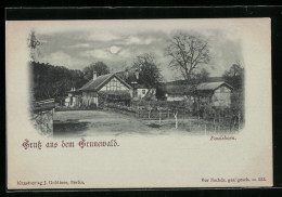 Mondschein-AK Grunewald, Paulsborn  - Grunewald