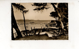 SAINT AYGULF - Un Coin De La Plage (carte Photo Animée) - Saint-Aygulf