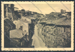 Terni Orvieto FG Cartolina ZF7555 - Terni
