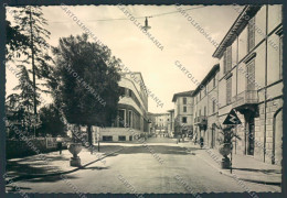 Forlì Castrocaro Terme Foto FG Cartolina ZF5760 - Forli