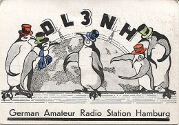 X120865 CARTE QSL RADIO AMATEUR  ALLEMAGNE GERMANY DEUTSCHLAND HAMBURG EN 1952 ? 1957 ? PINGOUINS OU MANCHOTS - Amateurfunk