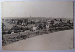 BELGIQUE - NAMUR - HAMOIS - SCHALTIN - Panorama - Hamois