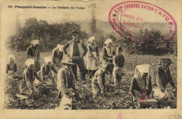 DESTOCKAGE Avant Fermeture Boutique BON LOT 100 CPA FRANCE  Toutes Avec Petites Animations (toutes Scannées ) - 100 - 499 Postales