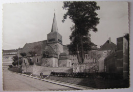 BELGIQUE - LUXEMBOURG - SAINT-HUBERT - L'Eglise Saint-Gilles Et Le Monument Aux Morts - Saint-Hubert