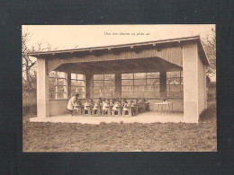 VLESENBEEK - STATION D'EDUCATION EN PLEIN AIR  " ADOLPHE MAX "  - UNE DES CLASSES EN PLEIN AIR (12.393) - Sint-Pieters-Leeuw