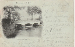 *** 88  ***   Environs St Dié  SAULCY  Pont Sur La Meurthe - (petit Pelurage Dos ) Timbrée 1902 - Saint Die