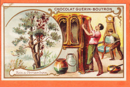 24829 / ♥️ Chromo Chocolat GUERIN-BOUTRON ◉ SAPIN Conifere Poix Terebenthine ◉ PARIS Rue MAROC Poissonniere St-Sulpice - Guerin Boutron