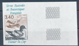 BF0737 / FRANCE / TAAF  -  1992 -  Kapsturmvogel   -  Imperforated  -  Michel 289U  ** / MNH - Nuovi