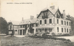 D7276 Salbris Chateau De Bois Lurette - Salbris