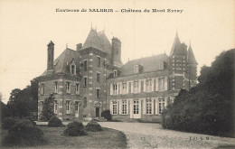 D7278 Salbris Chateau Du Mont Evray - Salbris