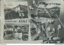 Bl597 Cartolina Saluti Da Asolo Provincia Di Treviso - Treviso