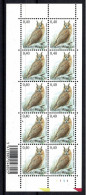 Belgique F 3737 Buzin Hibou Moyen-Duc N° De Planche 1 - 2001-2010