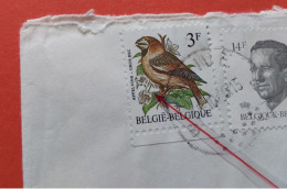 Oiseaux De Buzin Variété épine Rouge Timbre Gros Bec Sur Lettre Recommandé. - 1985-.. Vögel (Buzin)