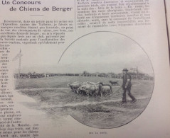 1898 UN CONCOURS DE CHIENS DE BERGER - Revue Sportive  " LA VIE AU GRAND AIR " - 1900 - 1949