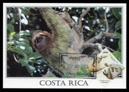 COSTA RICA (2021) Símbolos Nacionales, Perezosos, Bradypus Variegatus, Paresseux, Three Toed Sloth - Carte Maximum Card - Costa Rica