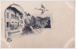 Gruyères Le Chalamala Litho Cigogne - Gruyères