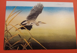 Carte Souvenir Oiseaux De Buzin Vœux De Fin D’année A.B.C. Philatelie 2008 Le Héron Cendré. - 1985-.. Birds (Buzin)