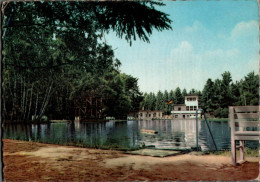 H1413 - Seifhennersdorf - Silberteich Waldbad Freibad - VEB Bild Und Heimat Reichenbach - Seifhennersdorf