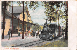 Hongrie - Üdvözlet MENYHAZAREL - Train En Gare (GROS PLAN) - Précurseur - Ungarn