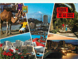 Espagne - Espana - Islas Canarias - Tenerife - Puerto De La Cruz - Multivues - CPM - Voir Scans Recto-Verso - Tenerife