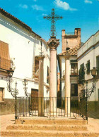 Espagne - Espana - Andalucia - Sevilla - Calle De Las Cruces - Espana - CPM - Voir Scans Recto-Verso - Sevilla (Siviglia)