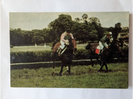 CPA -  Hippisme équitation Turf Vin Postillon Calendrier Des Courses Octobre 1967 - Ippica