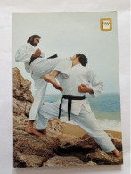 CP - Arts Martiaux Série Karaté Nº 40 Hittsui Geri - Martiaux