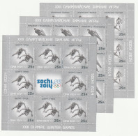 Russland: Olymp. Winterspiele Sotschi (III), Kleinbogen, ** (MNH) - Blocchi & Fogli