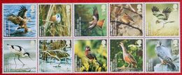 Bird Vogel Oiseau Pajaro Endagered Species (Mi 2558-2567) 2007 POSTFRIS MNH ** ENGLAND GRANDE-BRETAGNE GB GREAT BRITAIN - Ongebruikt