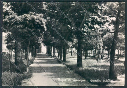 Forlì Bagno Di Romagna Foto FG Cartolina ZF5925 - Forli