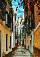 Espagne - Espana - Andalucia - Sevilla - Barrio De Santa Cruz - Colle De La Pimienta - Quartier De Santa Cruz - Rue Du P - Sevilla