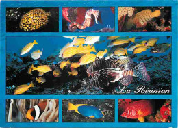 Ile De La Réunion - Fonds Sous-marin - Multivues - Poissons - CPM - Voir Scans Recto-Verso - Other & Unclassified