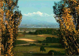 01 - Divonne Les Bains - Le Lac Léman Et Le Mont Blanc Vus De Divonne - CPM - Voir Scans Recto-Verso - Divonne Les Bains