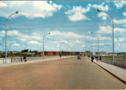 BADAJOZ - Puente Nuevo Sobre Rio Guadiana - Badajoz