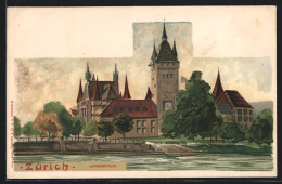 AK Zürich, Blick Auf Das Landesmuseum  - Autres & Non Classés