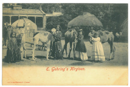 RUS 001 - 21370 Ethnic Ghirghiz With Camels, Russia - Old Postcard - Unused - Russia