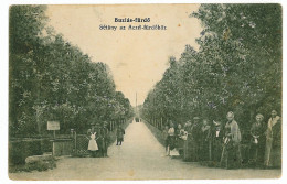 RO 60 - 1755 BUZIAS, Park, Romania - Old Postcard - Unused - Romania