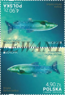 2024.04.25. Europe - Underwater Fauna And Flora - Common Barbel (Barbus Barbus) (tête-bêche) (4) - MNH - Unused Stamps