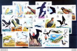Fauna. Uccelli 1976. - Ascensión