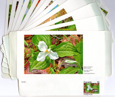 Kanada, Kpl. Serie V. 12 Ungebr. Blumen Aerogrammen (46-57, Postage/Postes) - Histoire Postale