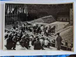 CP - Grand Format Sammelwerk 13 Olympia 1936 Bild 176 Gruppe 58 Tir - Giochi Olimpici