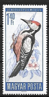 Hungary (Magyar) - MNH ** 1966 :    Middle Spotted Woodpecker  -  Dendrocoptes Medius - Climbing Birds