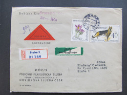 BRIEF Praha Pofis Dobírka 1965 Hund Dog Flora  /// P8500 - Lettres & Documents