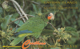 PHONE CARD CAYMAN ISLAND  (E83.20.6 - Kaimaninseln (Cayman I.)