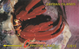 PHONE CARD CAYMAN ISLAND  (E83.24.4 - Kaaimaneilanden