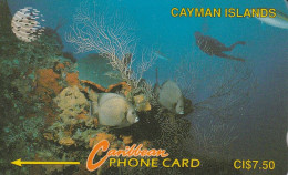 PHONE CARD CAYMAN ISLAND  (E83.18.6 - Islas Caimán