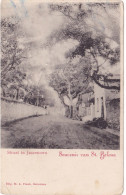 3331/ Souvenir Van St. Helena, Straat In Jamestown - Sainte-Hélène
