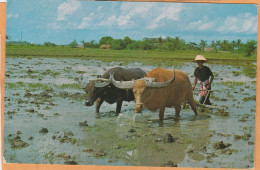 Bangkok Thailand Old Postcard  Mailed - Thaïlande