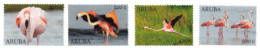 Aruba 2022, Flamingoes, 4val - Curazao, Antillas Holandesas, Aruba