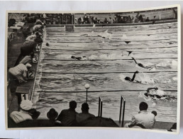 CP - Grand Format Sammelwerk 14 Olympia 1936 Bild 88 Gruppe 58 Natation - Olympische Spiele